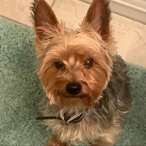 Meet your Posher, Aleah